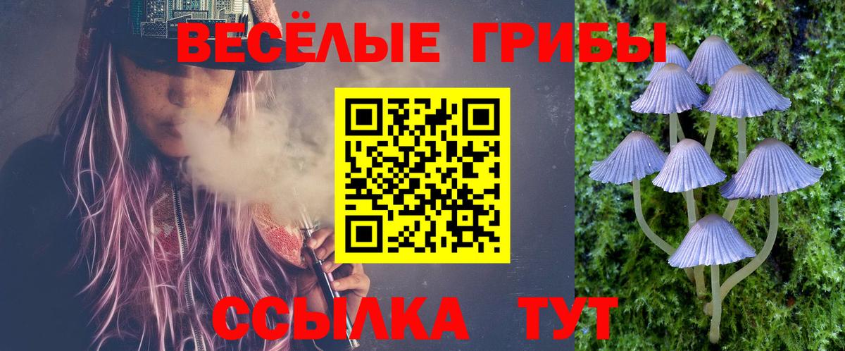 Псилоцибиновые грибы ЛСД Нижний Тагил